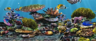 3d-fish-school-screensaver_1701257204