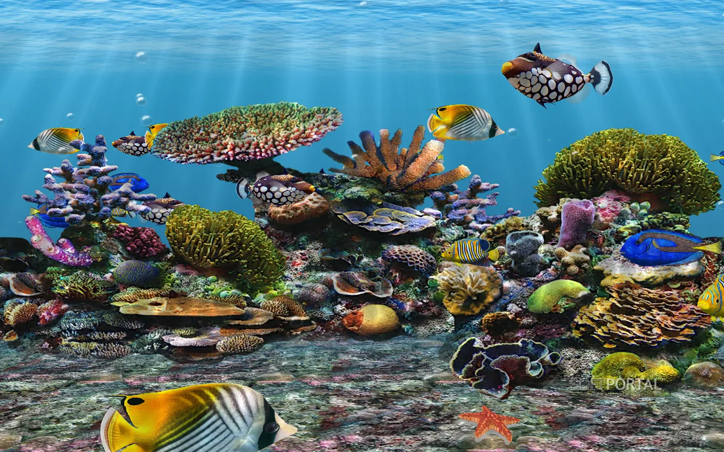 3D Fish School Screensaver