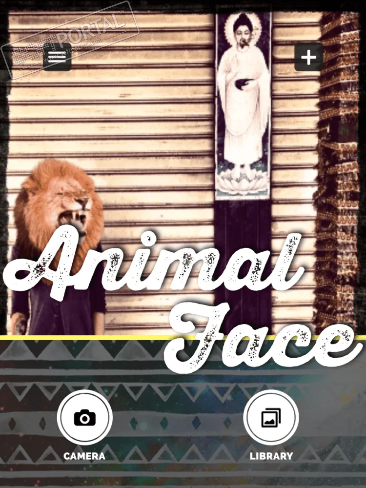 Animal Face