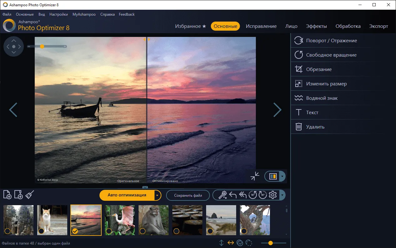 Ashampoo Photo Optimizer 8