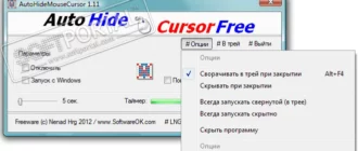 autohidemousecursor_1701257205