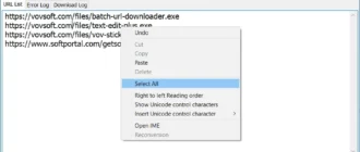 batch-url-downloader_1701257203