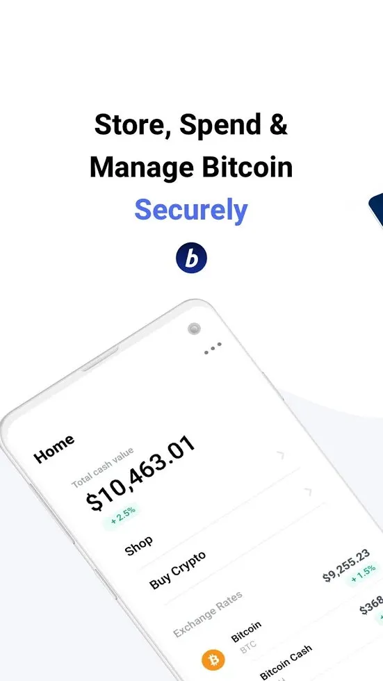 BitPay