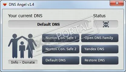 DNS Angel