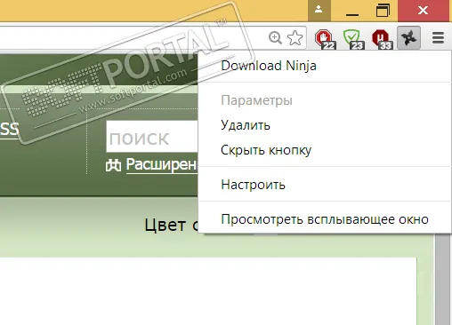 Download Ninja