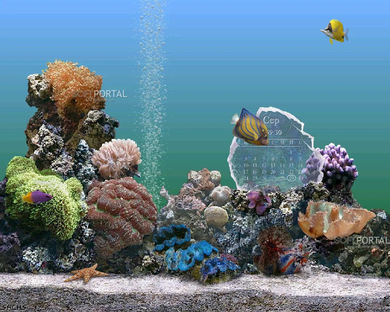 Marine Aquarium