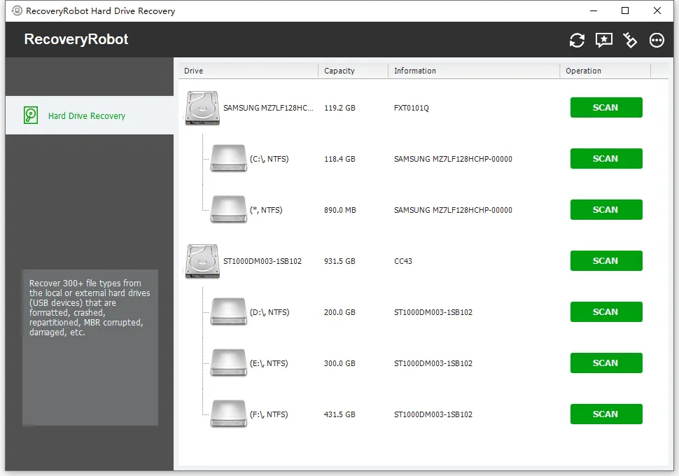 RecoveryRobot Hard Drive Recovery