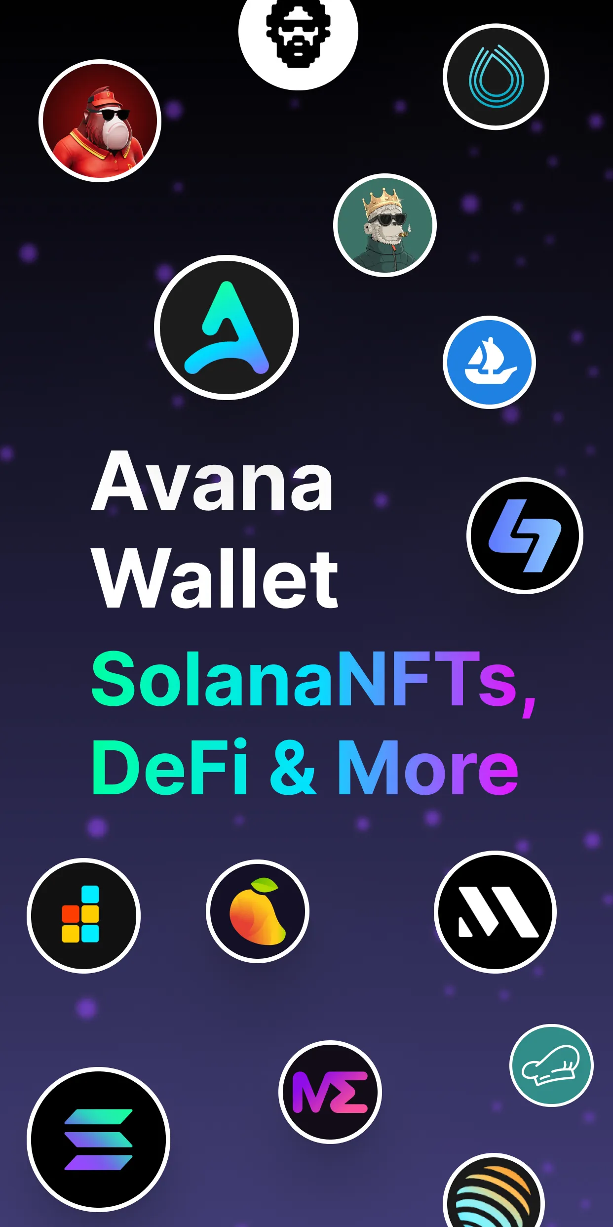 Solana Wallet