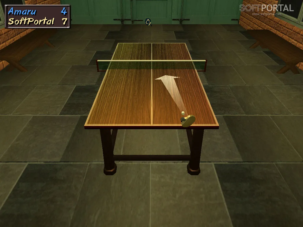 Table Tennis Pro