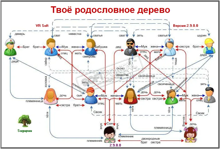 Твоё родословное дерево