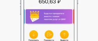 visa-qiwi-koshelek_1701257197