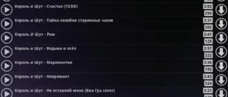 vkontakte-muzyka-i-video_1701257194